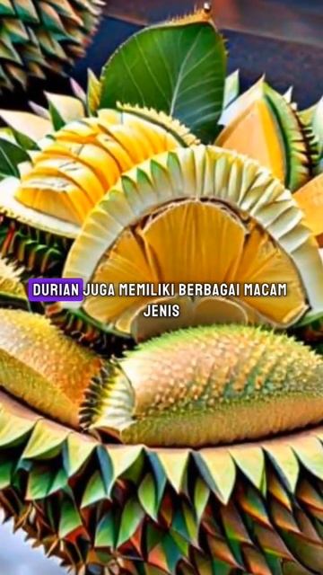 FAKTA UNIK BUAH DURIAN #faktaunik #faktamenarik #fakta #faktadunia #shorts смотреть онлайн
