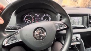 Скрип передней подвески Шкода  Карок.(Проявлялся на глубоких ямах и при проезде лежачих полицейских