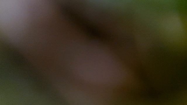 5 марта 2025 года День Памяти - Две гвоздики для Товарища Сталина смотреть онлайн