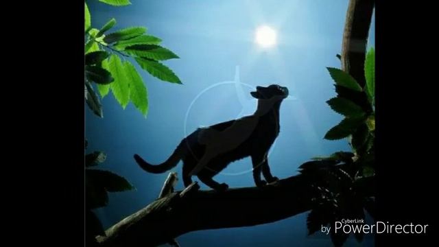What makes you beautiful warrior cats смотреть онлайн