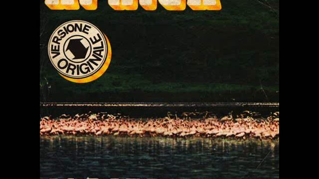 Albatros  - Africa