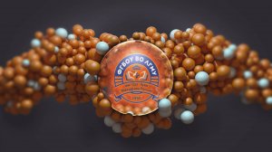 Предуниверсарий ФГБОУ ВО ЛГМУ им. Свт. Луки Минздрава России