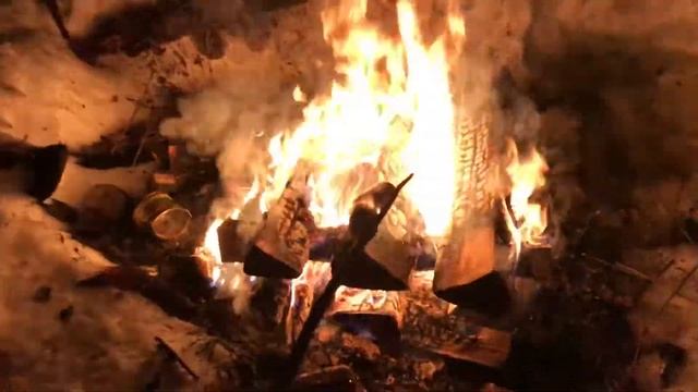 Костёр в ночном лесу