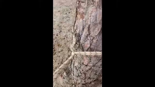 В помощь кайтеру от GSmastera смотреть онлайн