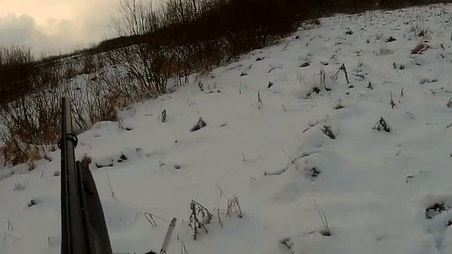 ОХОТА НА ЗАЙЦА С СОБАКАМИ 2021 смотреть онлайн