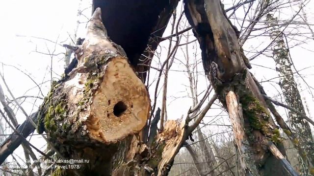 Последствия попадания молнии. Проблема молниеотводов для коттеджей. Lightning Strike смотреть онлайн