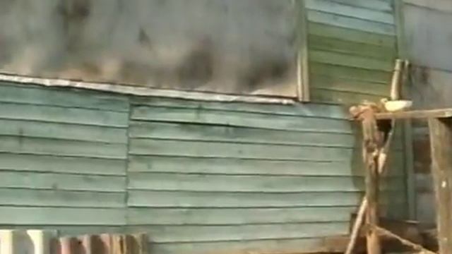 В Маховом Колодезе. Встреча родственников. mp4 смотреть онлайн