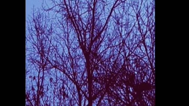 Мелодия о каплях воды смотреть онлайн