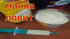 Манка для рыбалки на карася.