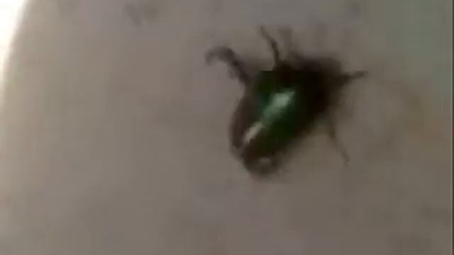 Brasileiro Terá De Aprender A Se Virar Sozinho...