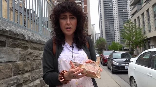 Why Tim Hortons Has Gone Downhill смотреть онлайн