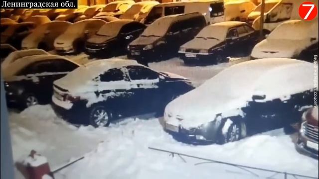 Ленинградской области массово прокололи автомобильные колёса. смотреть онлайн