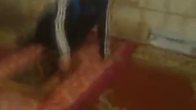 Тараз "в нарде змея" смотреть онлайн