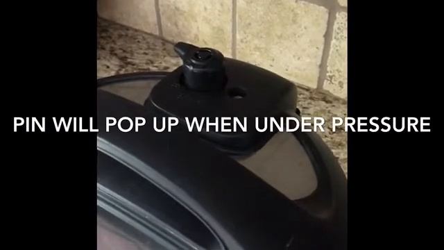 Instant Pot Beginner: Salsa Chicken смотреть онлайн