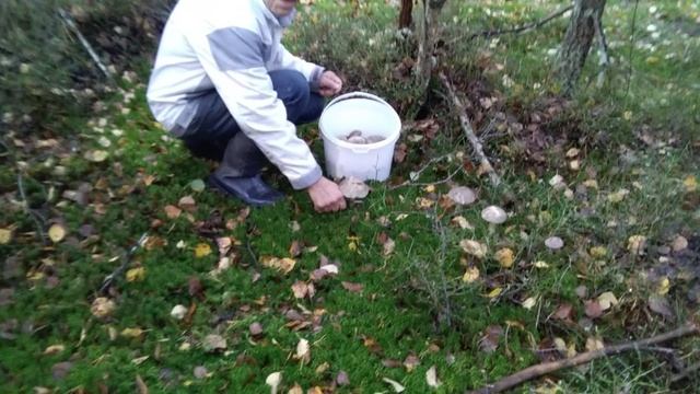 Последняя тихая охота 2023 года