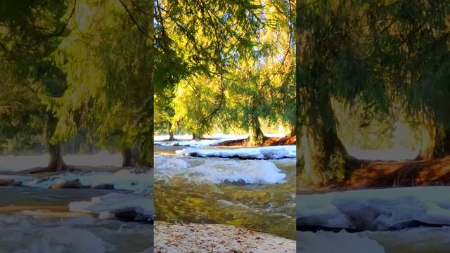 Green Forest River Flowing . смотреть онлайн