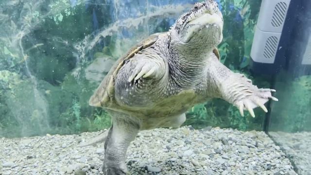 О боже какой мужчина)) С миру по нитке смотреть онлайн