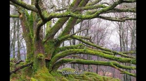 Scotland's National Nature Reserves