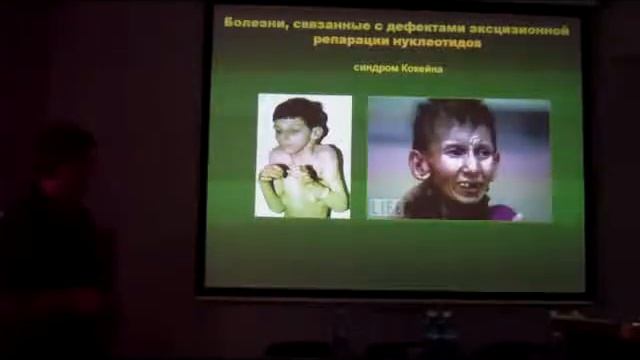 Механизмы поиска и узнавания повреждений в ДНК смотреть онлайн