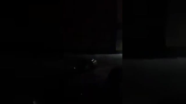 В Сарове появились свои обезьяны, у ТЦ «Куба»… смотреть онлайн