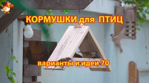 Кормушка для птиц своими руками как сделать пошагово  (70) 🪚🪛🔨 Идеи для дачи и сада❣️