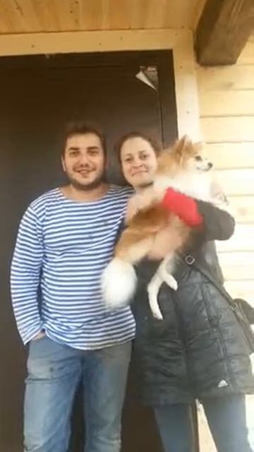 Отзыв 2 смотреть онлайн