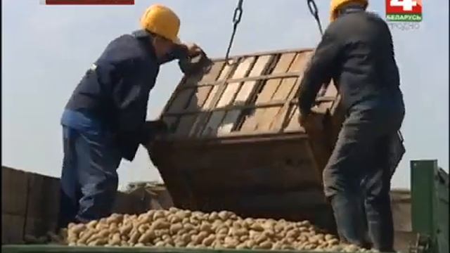 На Гродненщине ход весенне-полевых работ приближается к финишу смотреть онлайн