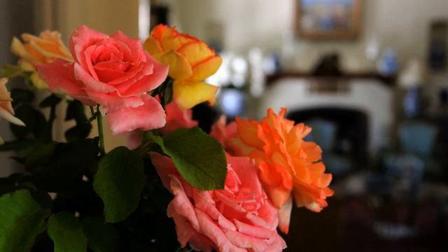 Свежие песни для автомобиля 2015 смотреть онлайн