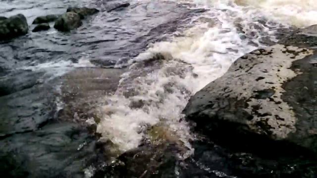 Видео на камеру NO1 M2 смотреть онлайн