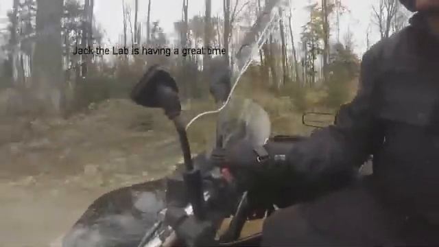 bft1 смотреть онлайн