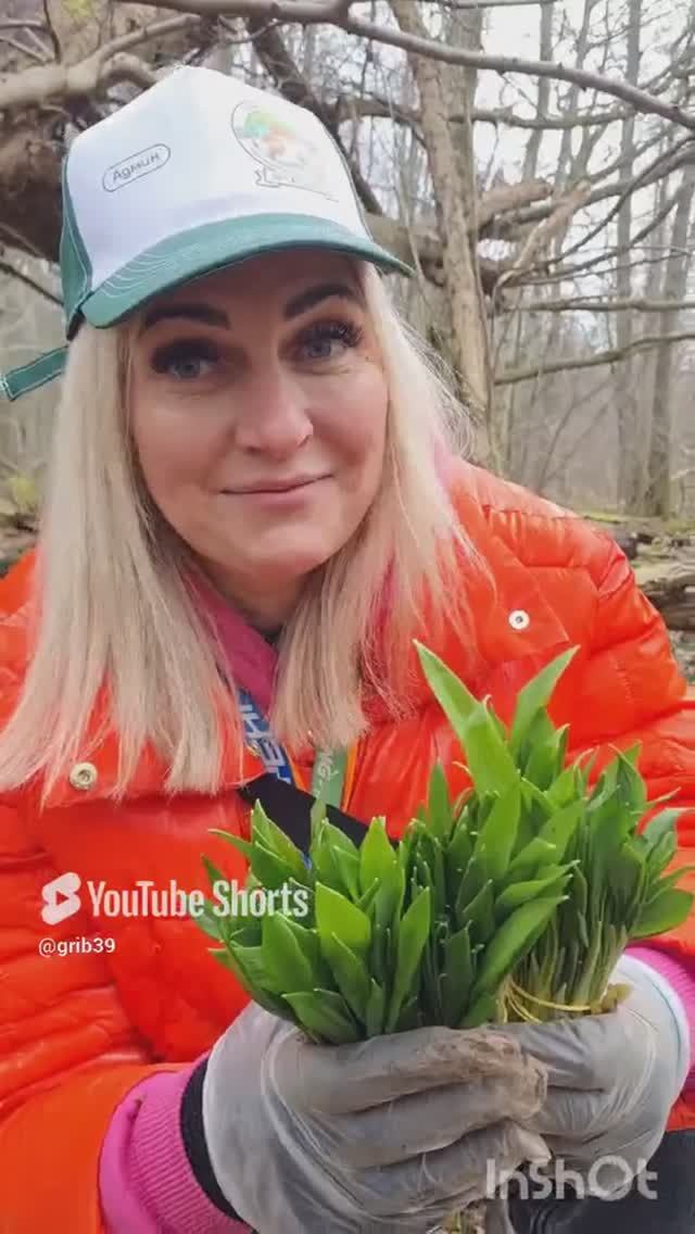 пошла ЧЕРЕМША (дикий чеснок) 🔥 первые ВИТАМИНЫ из леса ‼️ #shorts смотреть онлайн