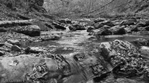 02. З. Миркина. Озеро Сариклен. Часть вторая.