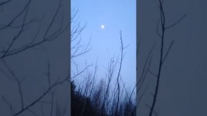 Тест манка на вальдшнепа от Артура Ларханиди