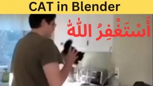 Cat in blender video | Viral video of cat | Trending cat video