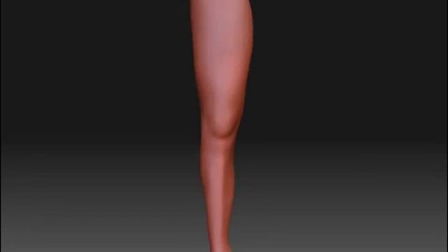 ZBrush 3 Anatomy Practice смотреть онлайн