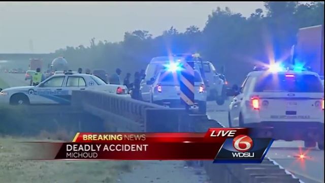 Alligator crosses I-10 at Michoud Blvd, causes deadly accident смотреть онлайн