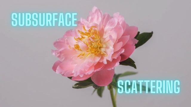 Magic of Subsurface Scattering in texture смотреть онлайн