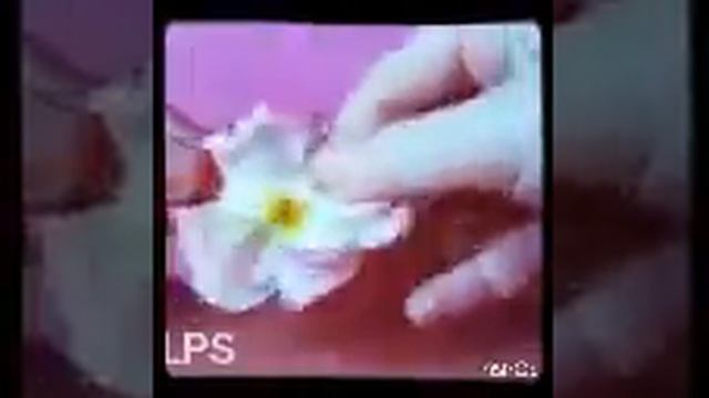 :)Моя колекцыя lps и где хроняца мои lps(: смотреть онлайн