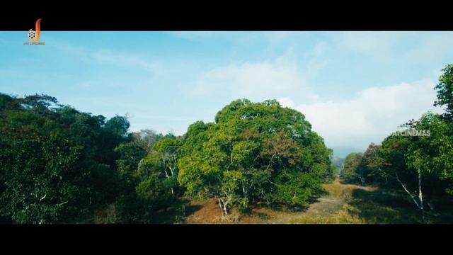 Most Scariest Tiger Chasing Scene | Panivizhum Malarvanam | Varsha Ashwathi | Yogi Babu | Wildness смотреть онлайн