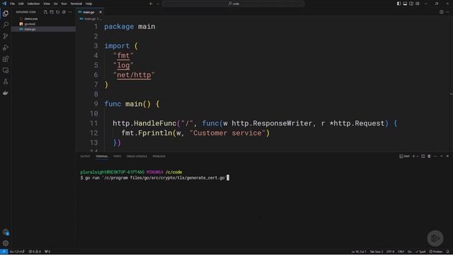 4. Demo The Default Server with TLS смотреть онлайн