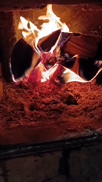 9 ноября 2024 г.