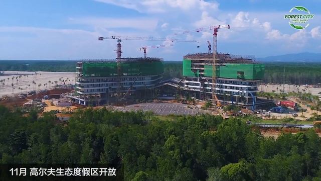 Happy New Year in Forest City смотреть онлайн