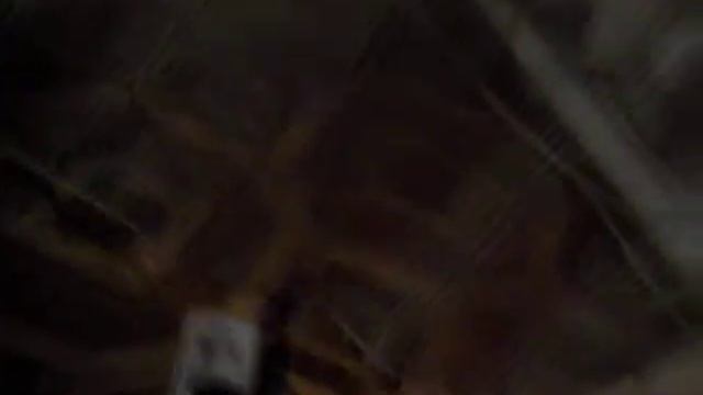 Кошка БУСЯ- вытаскивает ртом вилку шнура от телевизора из розетки смотреть онлайн