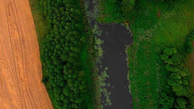 Барви рідного краю.Cinematic Footage DJI Mavic Air . 4к смотреть онлайн