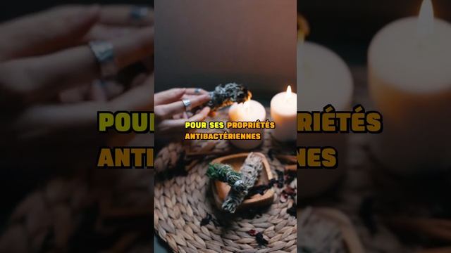 MAL DE GORGE, infusión de sauge смотреть онлайн