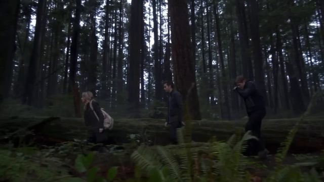 When Cancelled Shows Deserve A Second Life смотреть онлайн
