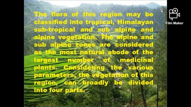 ART INTEGRATED PROGRAM ON UTTARAKHAND || BIODIVERSITY || FLORA AND FAUNA смотреть онлайн