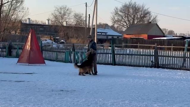 2.  выражено/перв ЮХАНССОН (Аутбек Ричард – Зея Фри Амазон)