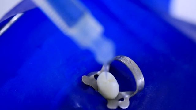 Tutorial Propex Pixi - Dra Carolina Cabrera en Español смотреть онлайн