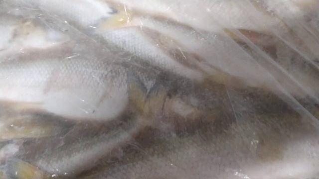 Корюшка С/М